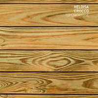 heloisa-crocco