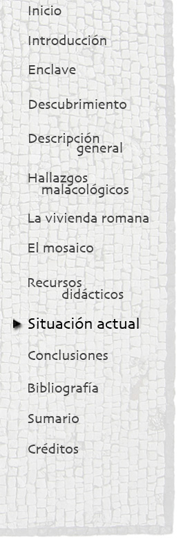 menu situacion